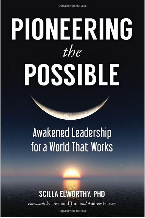 Pioneering the Possible: Awakened Leadership for a World that Works