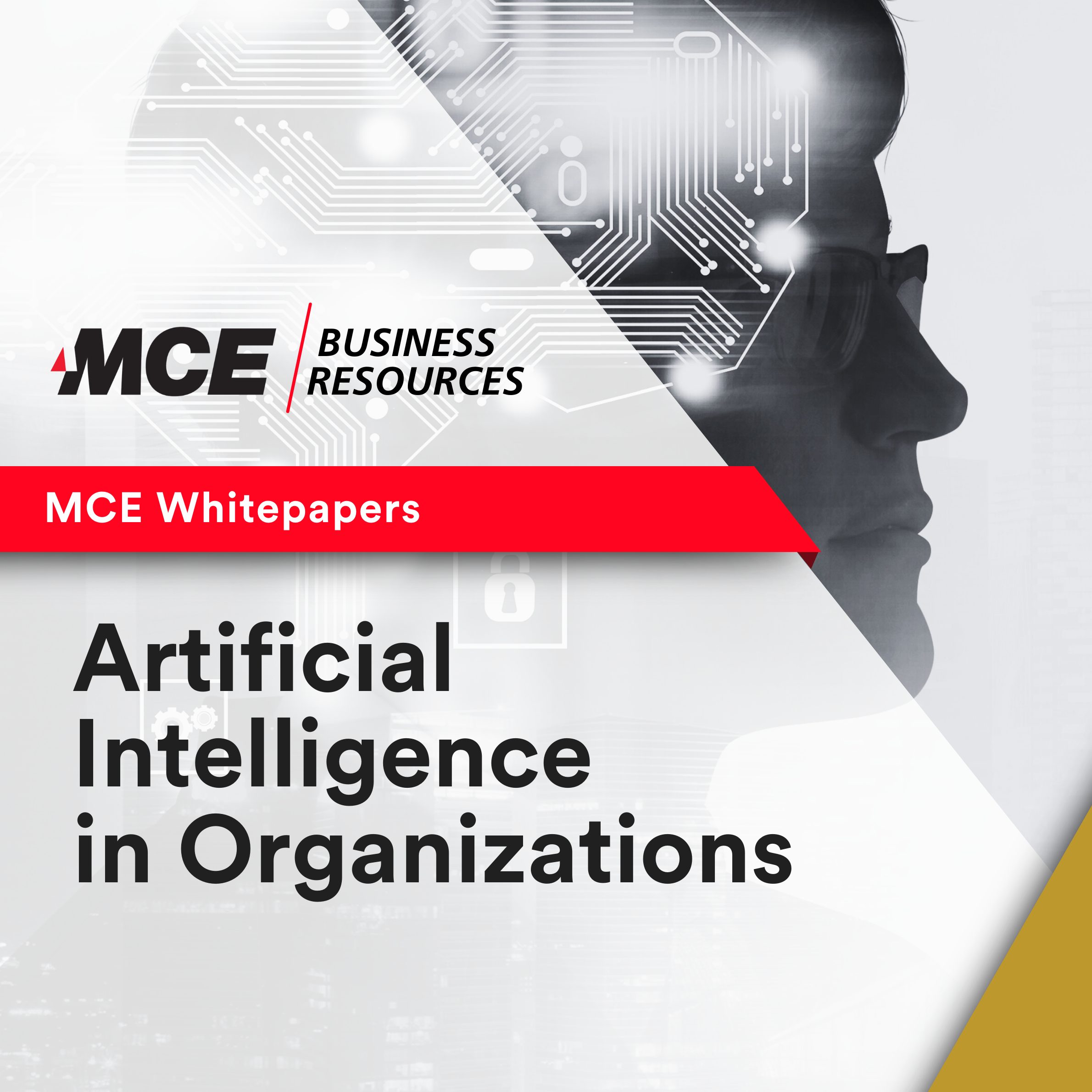 MCE Whitepaper: Artificial Intelligence in Organizations